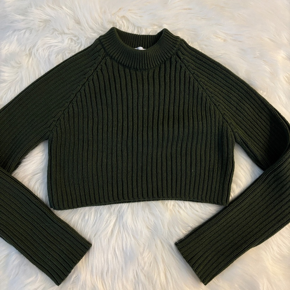 Zara Turtleneck Cropped Sweater
